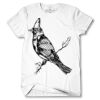 Men's Tshirt Thumbnail